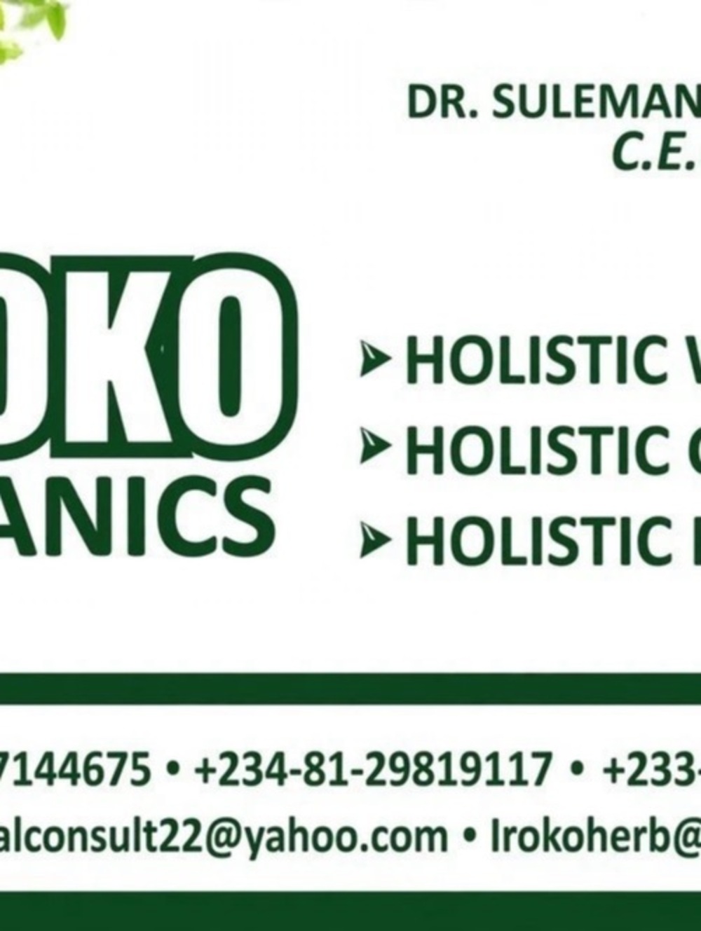 Holistic Wellness Business Card